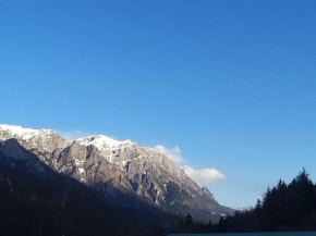 Apartament GreenStar